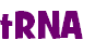 tRNA